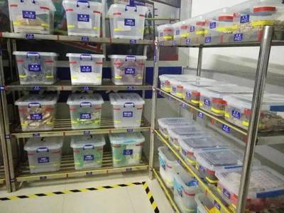 中成偉業第80期《4D食品安全現場管理體系》公開課在濟南站隆重舉辦